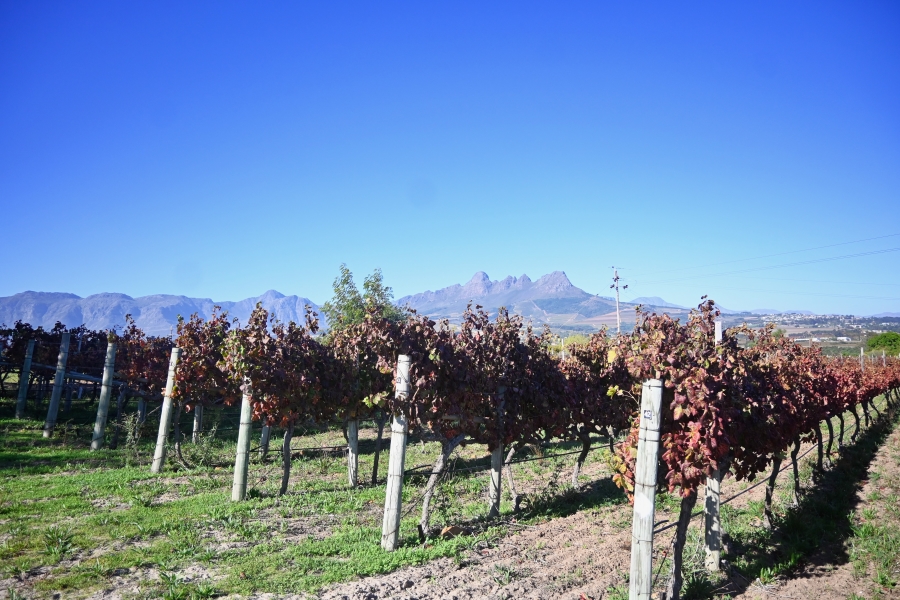 3 Bedroom Property for Sale in Stellenbosch Farms Western Cape